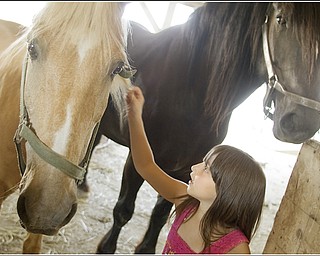 7.5.2009
Hanna Medved, 9 of Vienna, pets Eddie, a palomino horse, while another horse, Manny, towers over her at Mill Creek MetroParks' Farm in Canfield on Sunday afternoon.
Geoffrey Hauschild