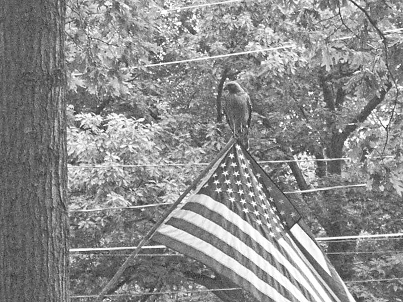 Photo detail