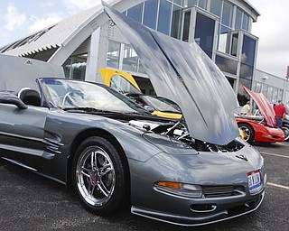 Chris Terlesky's 2004 Silver Corvette is amongst the cars shown during the collaborative event with the Mahoning Valley Corvettes and Greenwood Chevrolet in Austintown, Sunday July 19, 2009
Lisa-Ann Ishihara