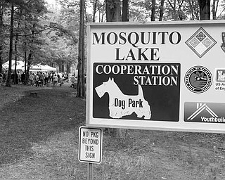 as Cooperation Station Dog Park at Mosquito Lake State Park - today the park had its grand opening - owners and their dogs now have a fenced in area from the road to the lake . - robertkyosay