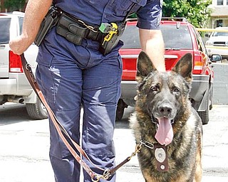 OFFICER’S BEST FRIEND: Sgt. John Colella is Achill’s partner.