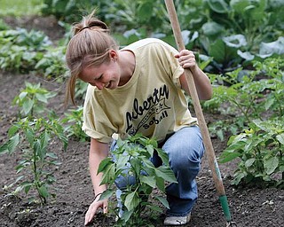 CLEANING UP: Hope Hrabowy, 17, of Youngstown, pulls weeds in a garden at a house of South Truesdale Avenue. Members of the Give the Children a Chance Choir and the Mahoning Columbiana Training Association cleared trees, removed tires and debris, mowed grass and planted gardens Tuesday in the 100 block of South Truesdale.
