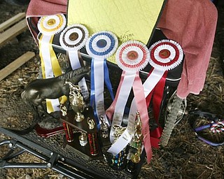 Madelynn Felgar on -and some of her ribbons and trophys - at their Beloit home - robertkyosay
