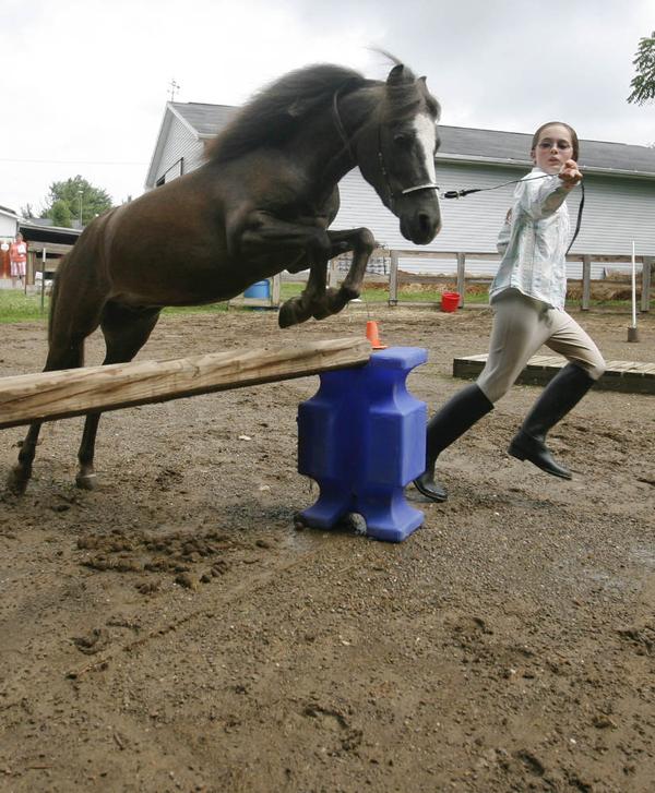Madelyn with her newest project -teaching it to jump - robertkyosay