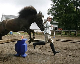 Madelyn with her newest project -teaching it to jump - robertkyosay