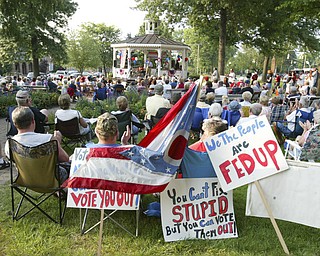 Tea Party, Canfield Green Friday August 14, 2009