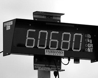 TIPPING THE SCALE: The electronic readout at Snyder Farms in Springfield Township