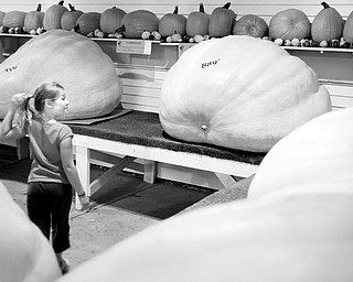 Salem resident, Laney Lankford, 7, takes a second look at an 889lb squash at the Canfield Fair on Wednesday evening. The "Largest Squash Champion" at this year's fair was submitted by Jerry Rose and weighs in at 1,187 lbs.
