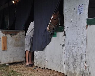The Canfield Fair, Friday, September 4, 2009