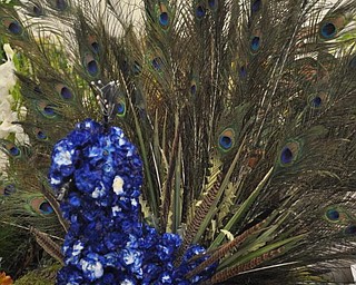 A peacock of flowers.
