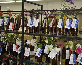 Flowers on display at the Canfield Fair. Sept. 4, 2009