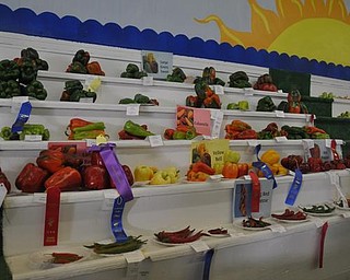 A vegetable display at the Canfield Fair