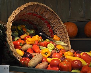 The Canfield Fair, Friday, September 4, 2009