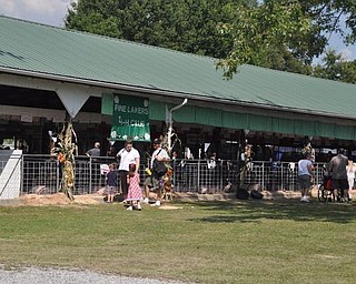 The Canfield Fair, Friday, September 4, 2009