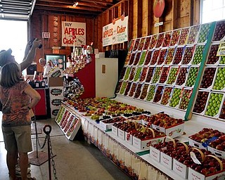 A display of apples at the fair.