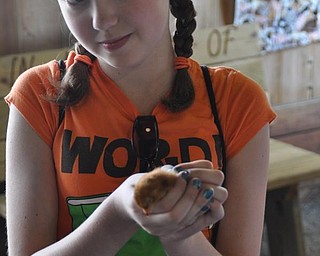 Holding a baby chick in Old McDonald's barn.