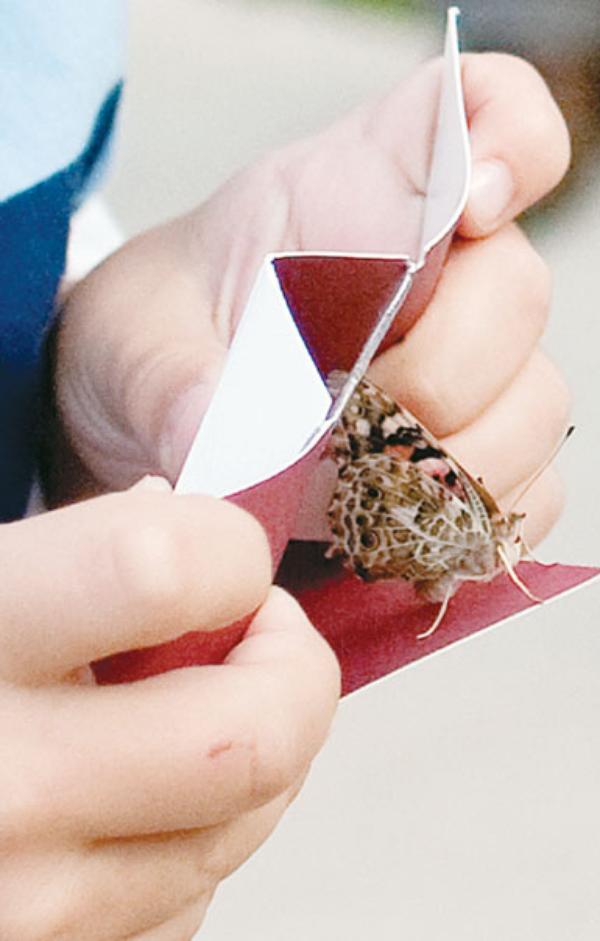 Photo detail