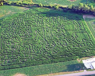 NO CROP CIRCLES HERE: This aerial photograph gives a bird’s-eye view of the 12-acre maze Mike and Cindy Bacon have had built in Fairfield Township, near Columbiana. The project was designed and built by Shawn Stolworthy of MazePlay in Firth, Idaho, who came here to cut the corn that makes the maze. The corn is 6 to 8 feet tall and actually includes several mazes of differing navigation difficulty.
