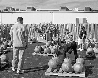 Special to The Vindicator
PICTURE THAT! — Youngsters are caught on film as they visit the pumpkin patch display that will be featured at the Austintown Community Church Fall Festival, on Oct. 10.
