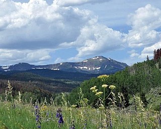 Dan Shields of Canfield vacationed at Flat Tops in Yampa, Colo., while visiting national forests and parks.