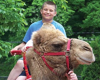 10-year-old AJ Iarussi of Struthers visited the Cleveland Zoo this summer and enjoyed a camel ride.