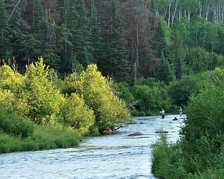 Fly fishing; taken by Dan Shields of Canfield.
