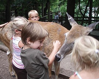 While visiting in Youngstown this summer, Thomas Hull III, 4, and his parents, Larisa and Thomas Hull of Ann Arbor, Mich., spent time at the Pittsburgh Zoo, where he made this friend in the petting area.