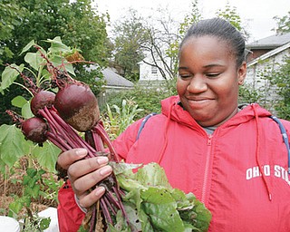 CAN’T BEET IT: LaToya Hixon, 19, of Youngstown, a member of the Flying High youth organization, checks out beets grown in an East Avondale Avenue garden created by the nonprofit groups Goodness Grows and Flying High.