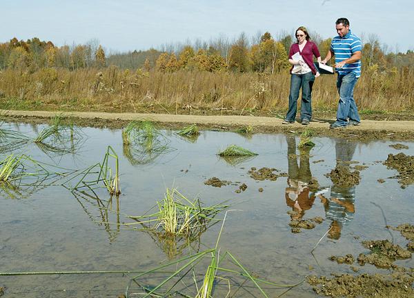 RESTORATION PROJECT:  Kirsten Peetz, left, and Justin Rogers of Mill Creek MetroParks examine a pool of standing water at the wetlands restoration site off Western Reserve Road in Canfield Township. Construction on the site began in July and culminated with the planting of native trees, shrubs, grasses and flowers last week.