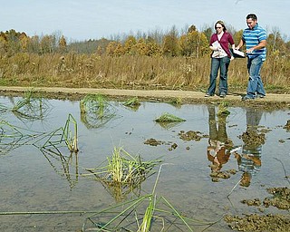 RESTORATION PROJECT:  Kirsten Peetz, left, and Justin Rogers of Mill Creek MetroParks examine a pool of standing water at the wetlands restoration site off Western Reserve Road in Canfield Township. Construction on the site began in July and culminated with the planting of native trees, shrubs, grasses and flowers last week.