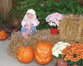 BREAK TIME: Taking a break recently at the Pumpkin Walk in the Flower Garden at Mill Creek Park is Mary Giovanna Melone, 19 months, of Boardman. Her parents are Michael and Kristy Melone.
