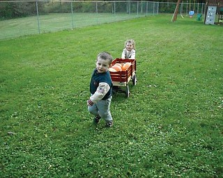 Zackery Hull, 3, and Megan Hull, 2, of Poland are using their wagon to harvest the pumpkins from their backyard garden.
          