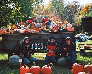 Cassondra and Jonathan Ohlin of North Lima 'chill  out with their cousin, Ryan Ohlin of New Middletown, among their pumpkin display on Middletown Road.
