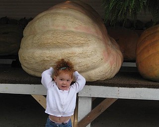 Reagan Jones from Loveland loved the big pumpkins at the Canfield Fair, which she attended while visiting with Grandpa and Grandma Sullivan of Canfield.
