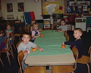 The Green Team's pumpkin recycling lesson was presented to these students in Canfield Presbyterian Church Weekday Preschool's morning class.
                               