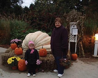 Madalyn Smith and her grandmother, Patty Hoover, both of Boardman, are checking out the pumpkins at Fellows Riverside Gardens in Mill Creek Park.
