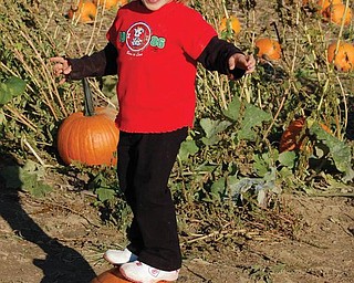 Lindsay Jones, 3, 'surfs  this pumpkin at Detwiler Farm last October. 