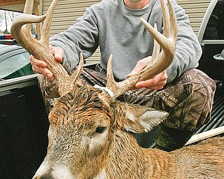 YOUNG BUCK: Hunters such as Jesse Ritchie spent much of the morning hunting deer like the nine-point buck shown. Ritchie, 24, of Salem, and other hunters were allowed to legally shoot the animals as gun season began Monday.