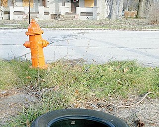 DIFFERENT SCENE: Vacant houses and litter remain commonplace sights in the Idora neighborhood, named for the former amusement park within it. Community members hope Idora can be restored to its glory days when it was considered one of the more-desirable communities in Youngstown.