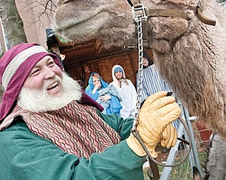 LIVING NATIVITY: An Arabian camel overlooks the live Nativity erected Wednesday at 1216 Fifth Ave., Youngstown, in front of Park Vista Retirement Community. The living Nativity will be open today from 3 to 6 p.m., weather permitting.