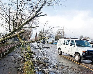 The Vindicator/Geoffrey Hauschild
A Motorist moves out of their lane to avoid hitting a tree that fell through a fence and onto a roadway at ?Calvary Cemetary? on Wednesday afternoon.