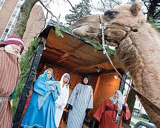 LIVING NATIVITY: An Arabian camel overlooks the live Nativity erected Wednesday at 1216 Fifth Ave., Youngstown, in front of Park Vista Retirement Community. From left to right are: Dwayne Felger of Greenford, who supplied the animals; Sue Strom, a clinical dietitian at Park Vista, portraying Mary; Cathi Cassudakis, a dietetic technician at Park Vista, an angel; the Rev. Alan Hutchinson, Park Vista chaplain, portraying Joseph; and Annmarie Pierce, Park Vista activities director, a wise man.