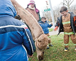 LIVING NATIVITY: Brothers, Gino, 5, left, and Rocco Pilolli, 6, of Youngstown stand with Dwayne Felger of Greenford, who supplied the animals; admiring the camel. The living Nativity will be open today from 3 to 6 p.m., weather permitting.