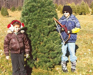 Lindsay, 6, and Robert, 10, Zublena of Canfield have selected their favorite Christmas tree at Bailey's Tree Farm, which has been a family tradition for the past 8 years.