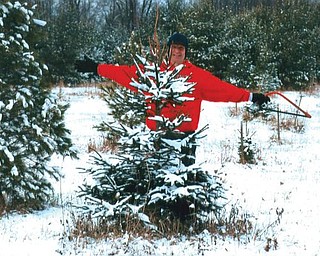 CUTTING LOOSE: Billy Speece cuts down a Christmas tree on his farm in Canfield.