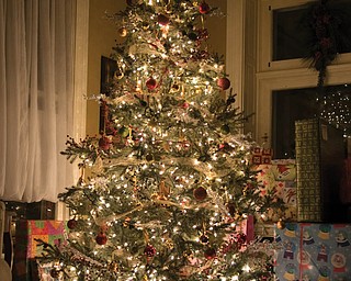John and Laurie LaPlante of Poland enjoyed this beautiful Christmas tree this year.