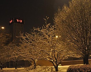 Youngstown State University campus, Thursday, January 7, 2009.
