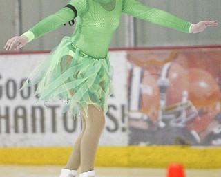 The Skating Club of Greater Youngstown, Saturday January 16, 2009. Ice Zone Boardman.