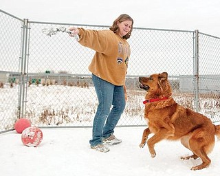 WINTER FUN: Kate McDermott of Angels for Animals, plays with one of the dogs at the agency’s compound on state Route 165 in Beaver Township. A dog’s size and type of coat need to be considered in the length of time the animal spends outdoors in the winter.