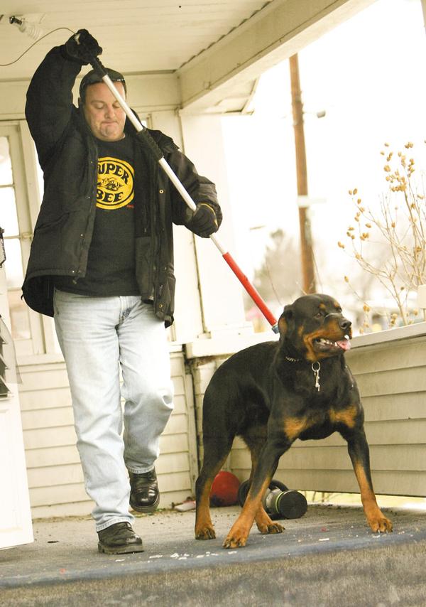 UNDER CONTROL: Detective Sgt. Mike Lambert of the Youngstown Police Department removes a Rottweiler dog from a Donald Avenue home on the city’s West Side. Police suspect the dog attacked a 10-year-old boy Tuesday. Lambert removed the animal Wednesday afternoon.